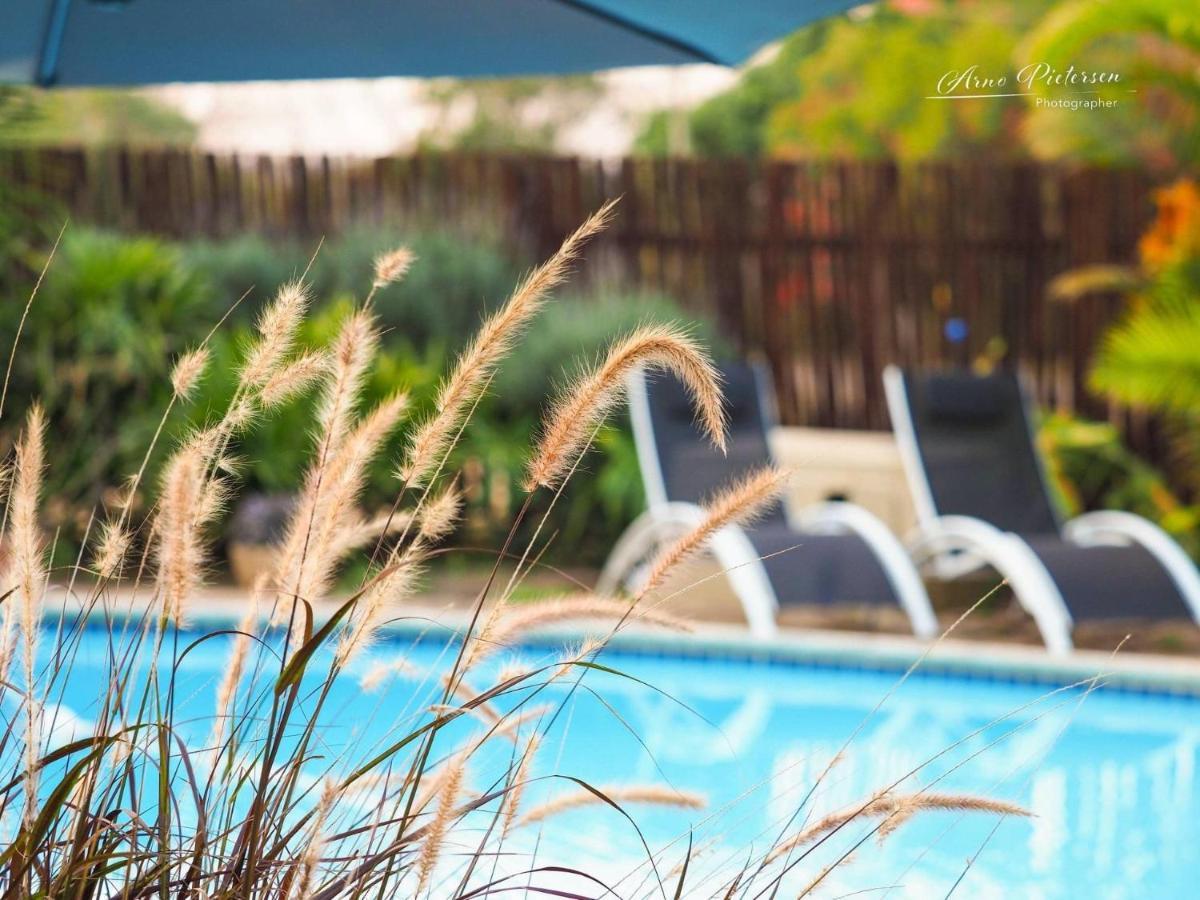 Fever Tree Guesthouse Hillcrest Buitenkant foto
