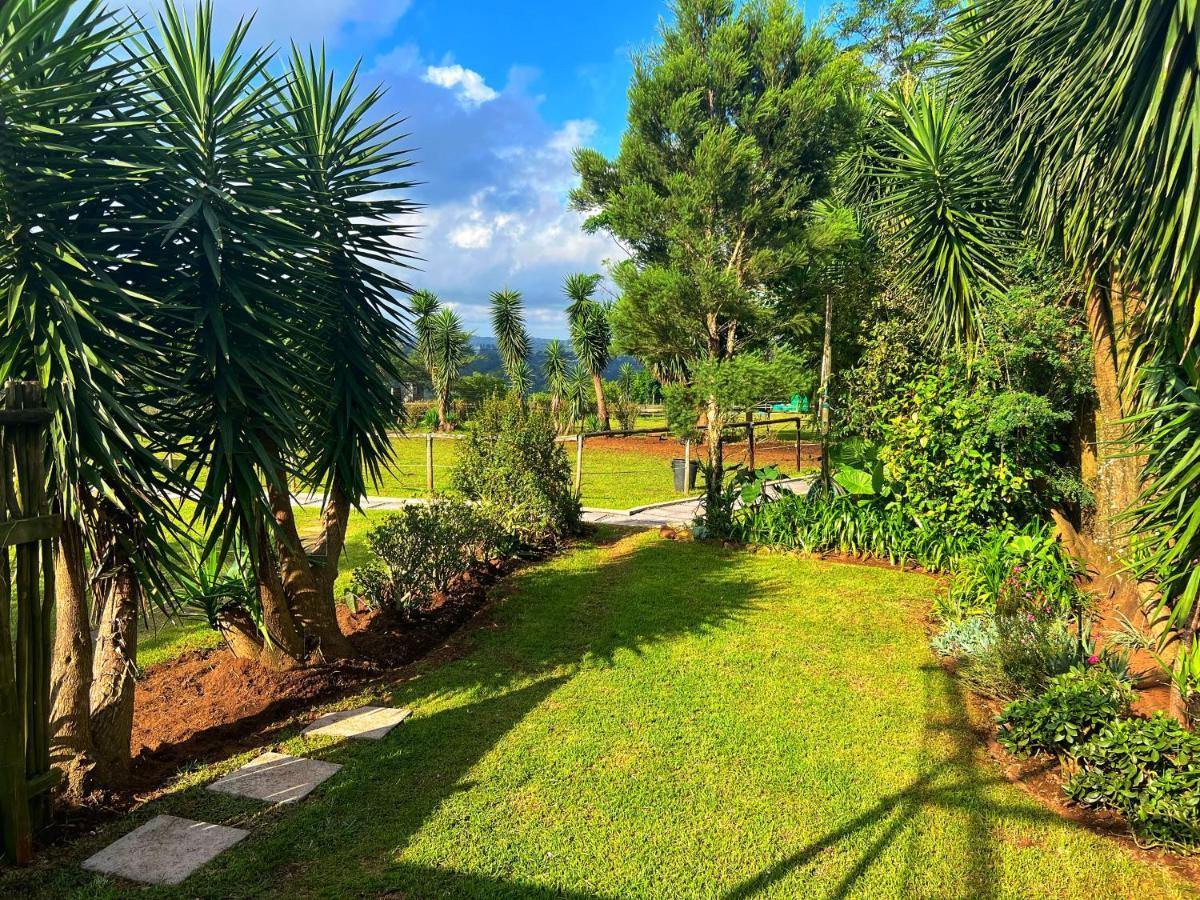 Fever Tree Guesthouse Hillcrest Buitenkant foto