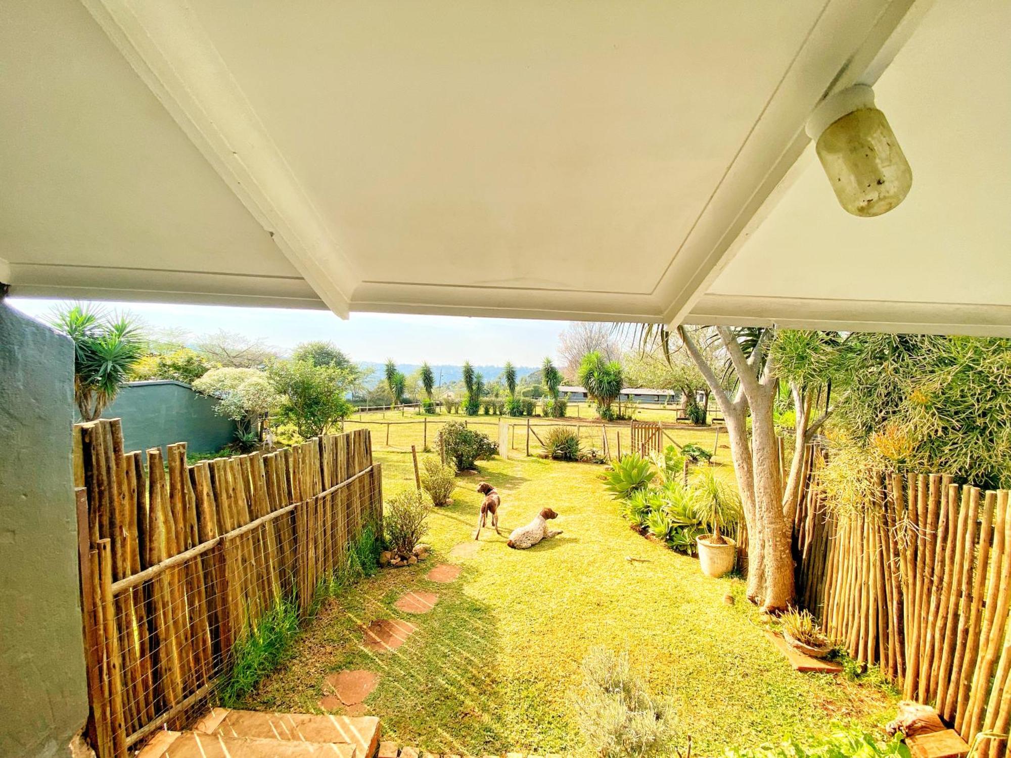 Fever Tree Guesthouse Hillcrest Buitenkant foto